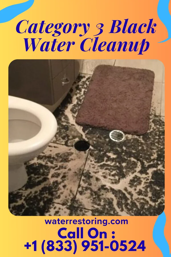 Category 3 Black Water Cleanup in Rossville, IL