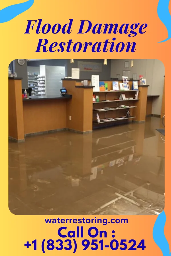 Flood Damage Restoration in Rossville, IL
