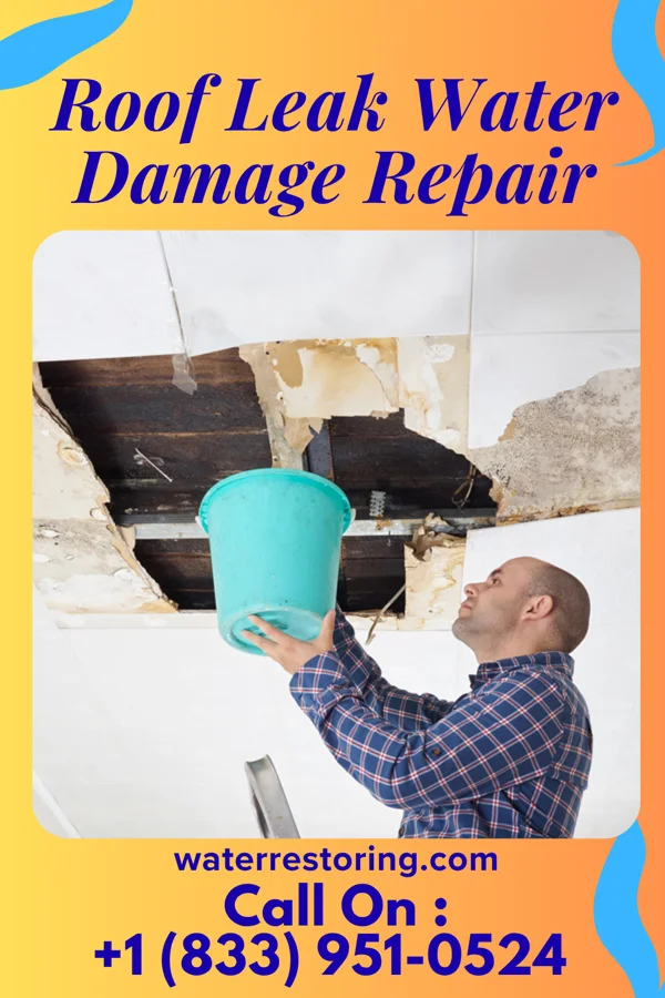 Roof Leak Water Damage Repair in Rossville, IL